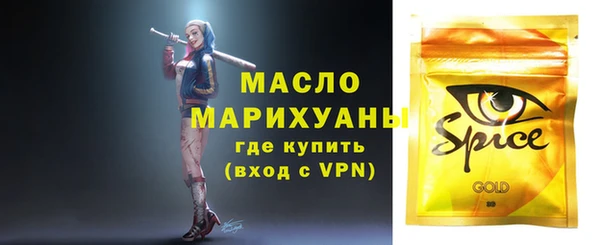 индика Армянск
