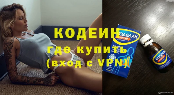 молекула духа Вяземский