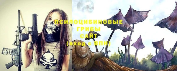 дурь Балахна