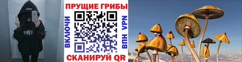 Псилоцибиновые грибы MAGIC MUSHROOMS  продажа наркотиков  mega зеркало  Николаевск 